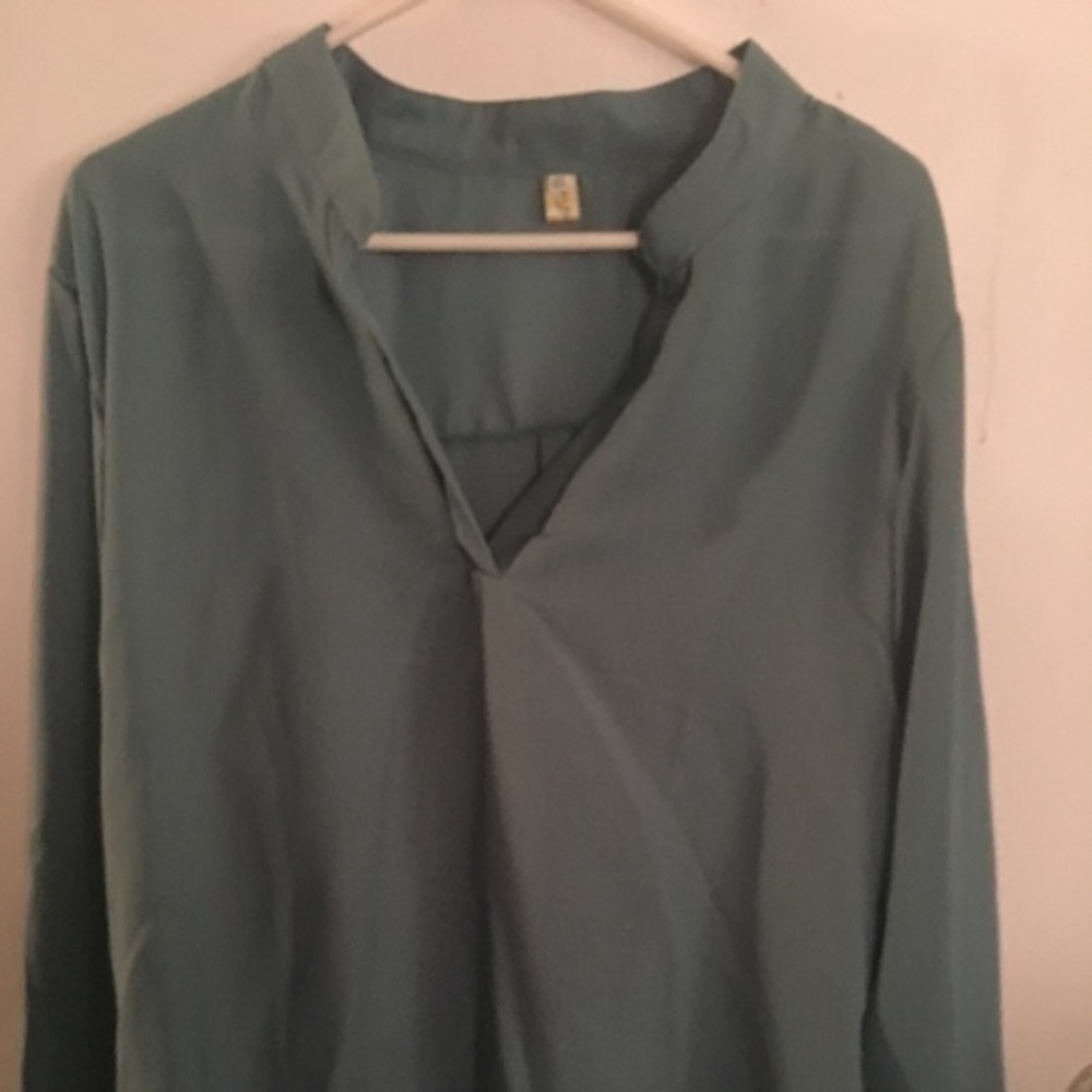 Sheer Long sleeve blouse